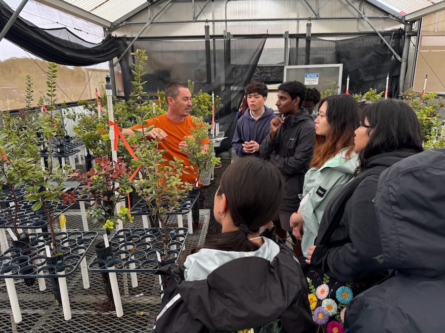 Student learning about endangered ʻŌhiʻa trees.