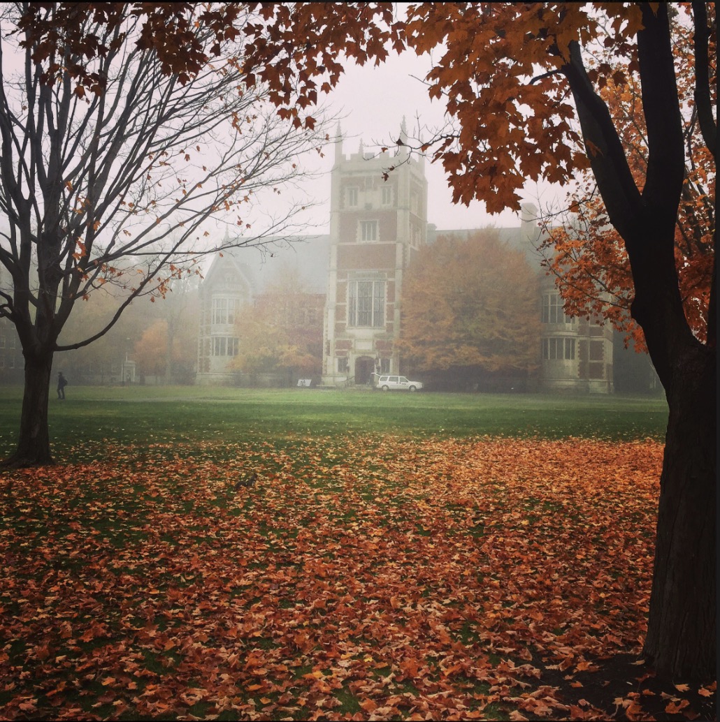 a misty depiction of hawthorne hall