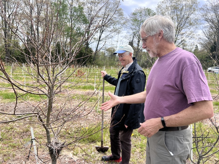 Klak and Sprague in the orchard