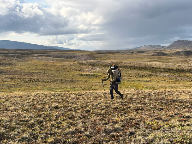 lone hiker in distance baffin island 2026