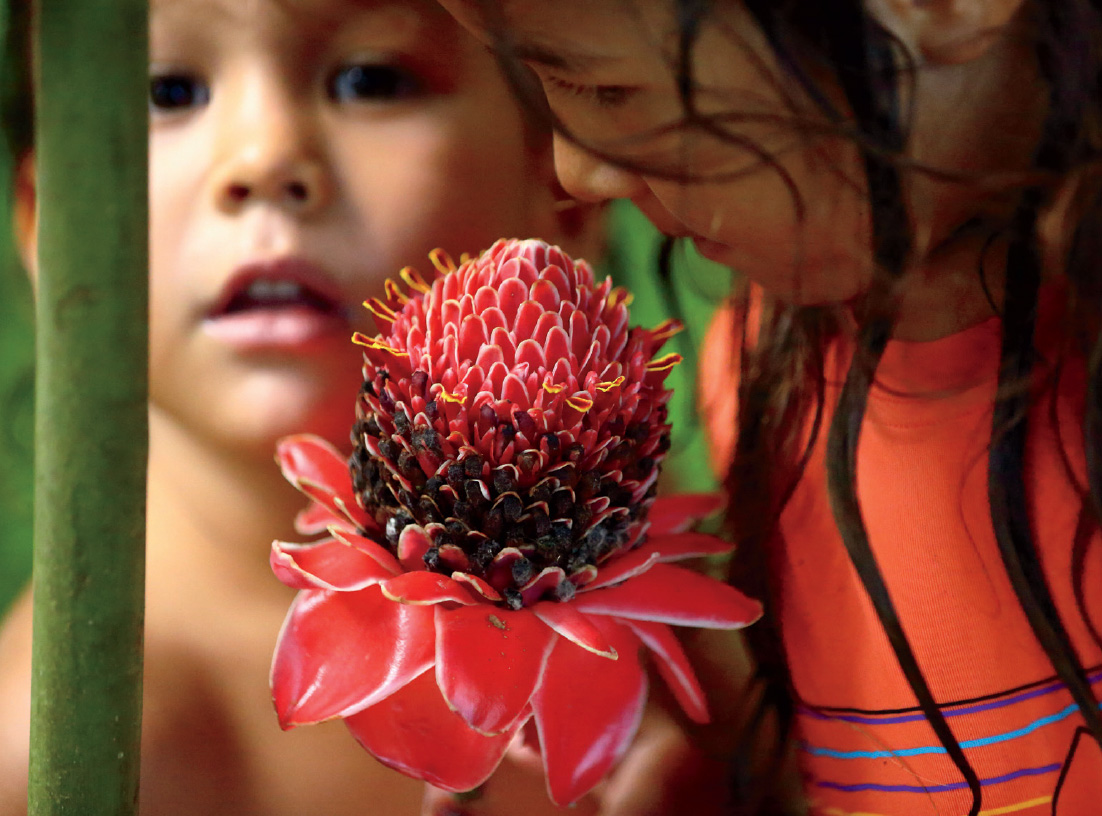 Atlas, four, and Jade, six, take in the beauty  of a torch ginger (Etlingera elatior) growing  near the family’s anchorage in Saco do Mamanguá, Paraty, Brazil, in March 2025.