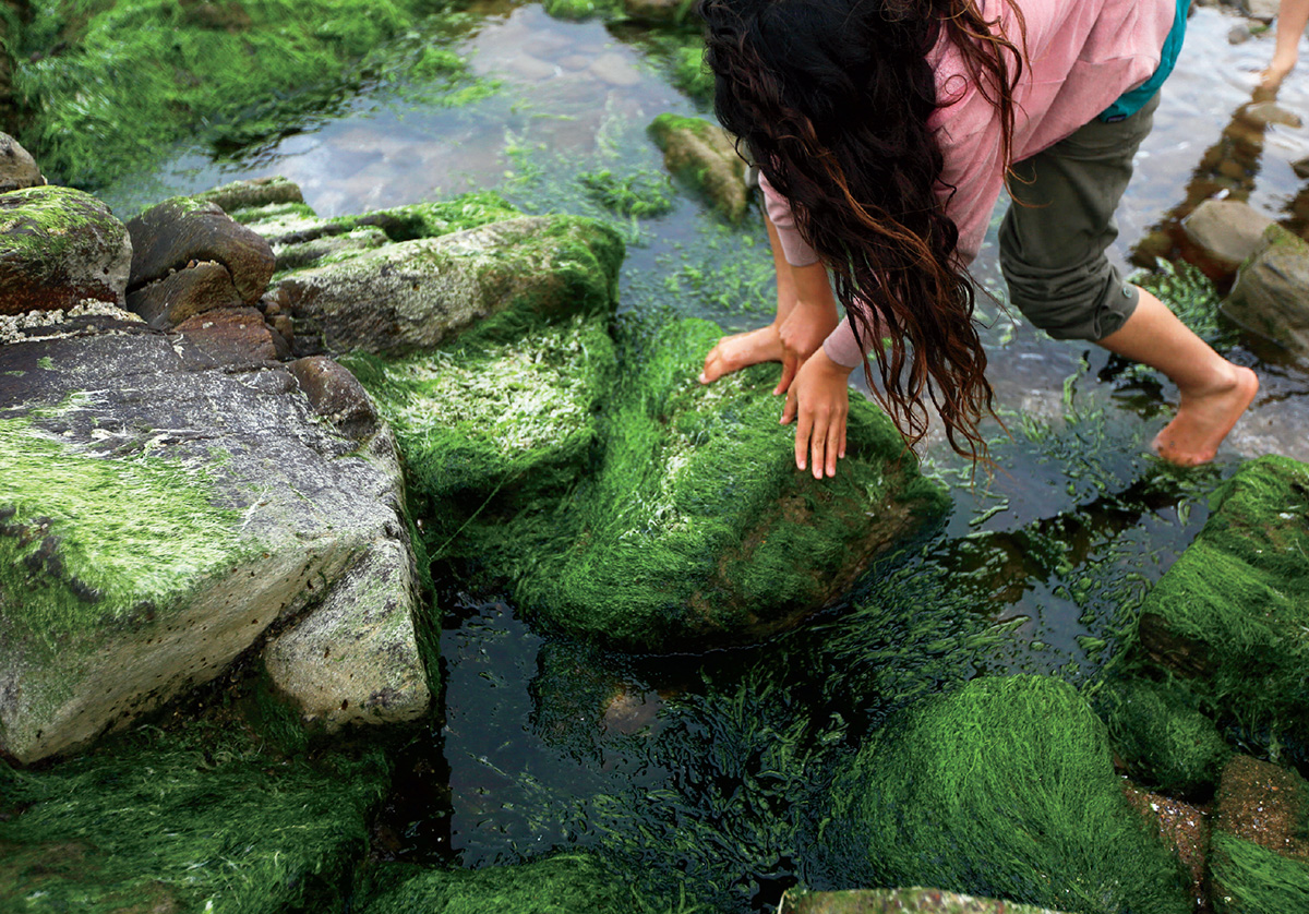 Pearl, twelve, explores tide pools along  the coast of La Paloma, Uruguay, in 2024.
