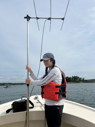 olivia ho28 w tracking equipment for eider survey