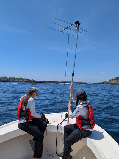 students on boat with antenna for tracking eiders