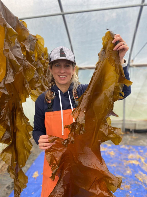 kelp farmer krista rosen '02
