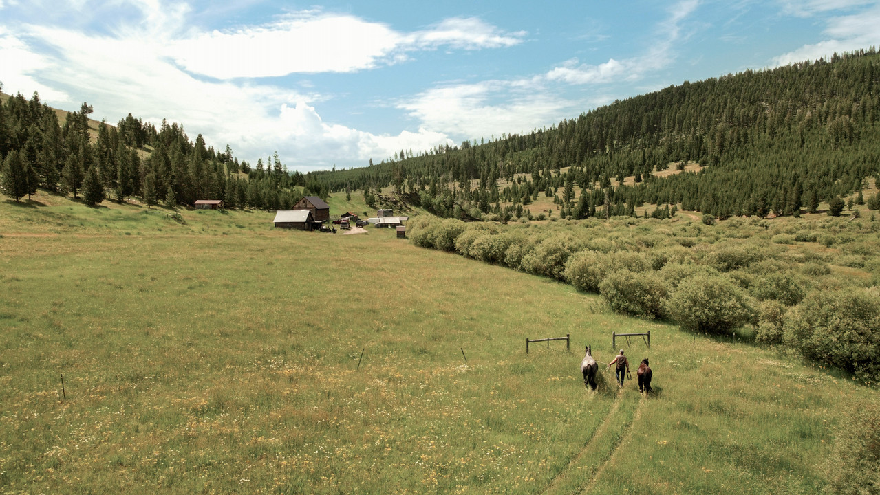 Hibbard leads Mojo and Teddy in from pasture to prepare for an afternoon cattle drive. Photograph by Rebecca Stumpf