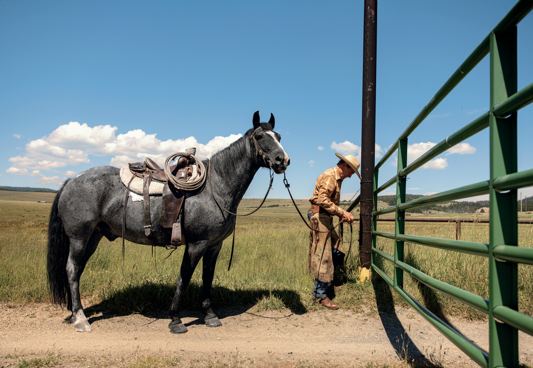 Hibbard and Teddy prepare to round up cattle. Photograph by Rebecca Stumpf