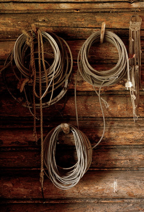 Ropes hang on the barn wall. Photograph by Rebecca Stumpf
