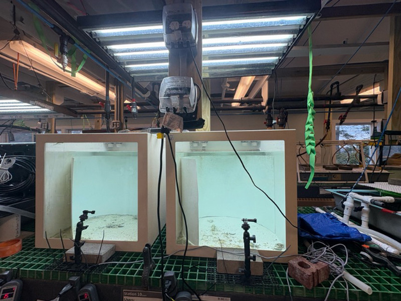 seawater tanks in schiller marine lab