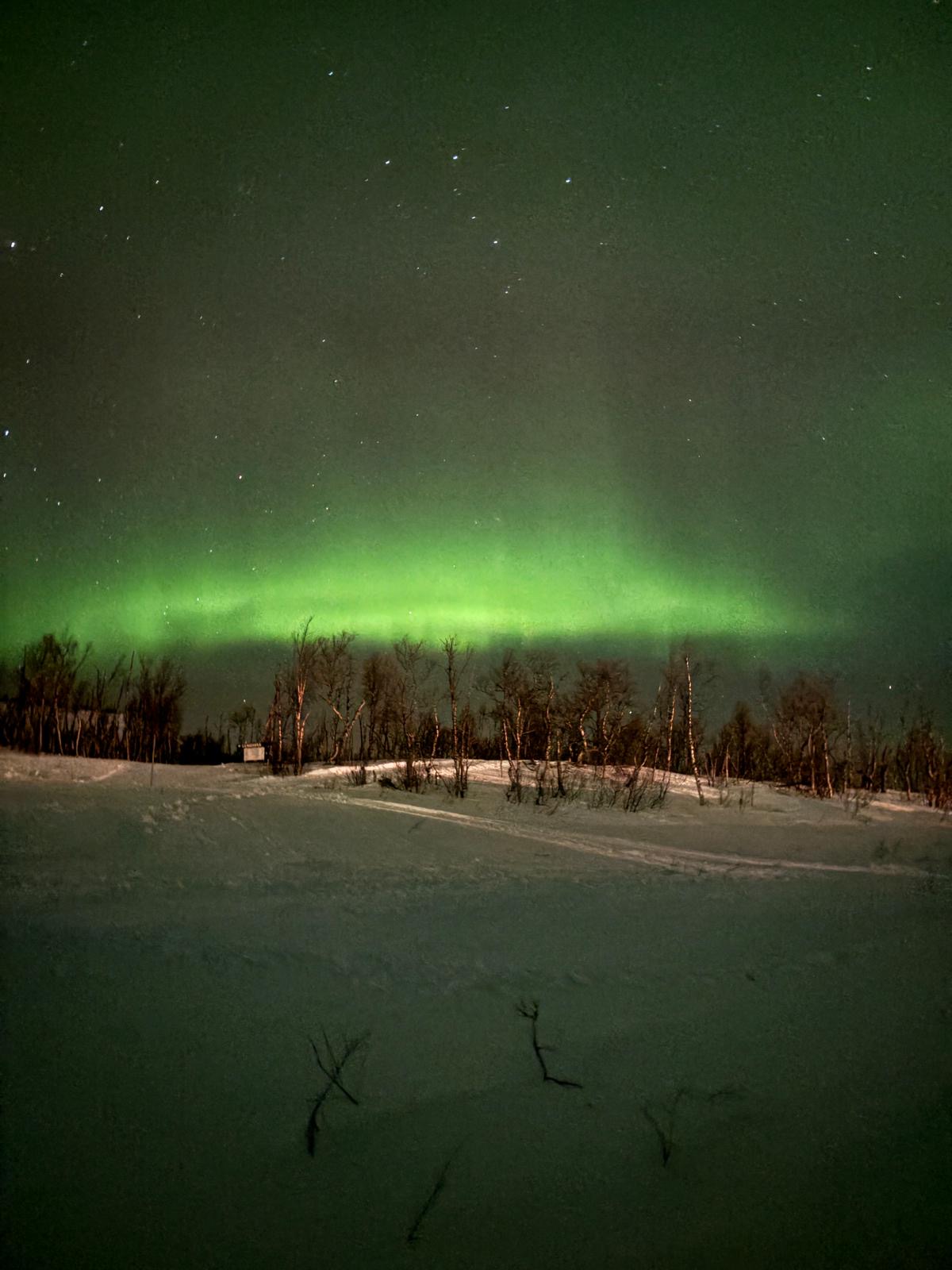 Northern lights above a snowscape