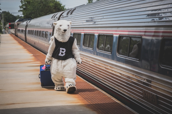 Polar bear traveling