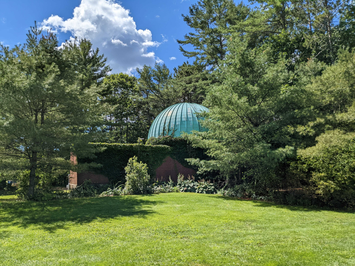 The observatory in 2022 at Pickard Field with surrounding trees.