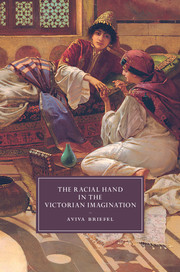Racial Hand in Victorian Imagination Book Cover Image