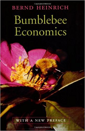 Bumblebee Economics