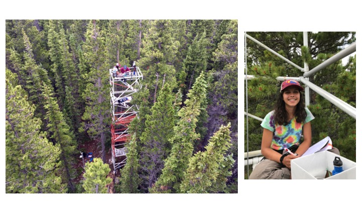 Students next to satellite tower