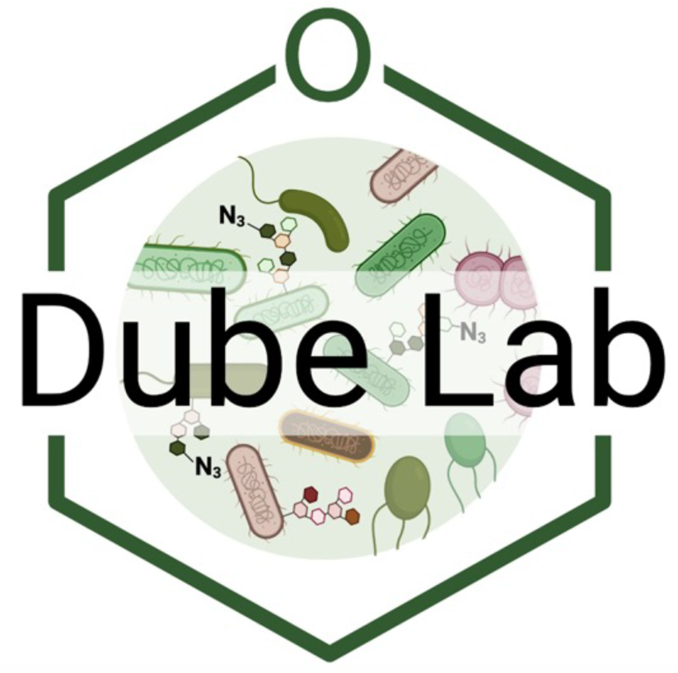 dube-lab-logo.jpg