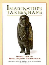 Imagination Takes Shape Book Cover Image