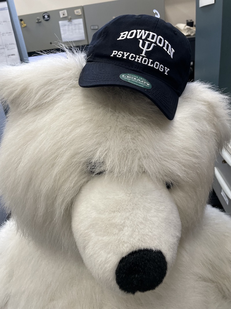 Bowdoin polar bear mascot wearing Psychology hat