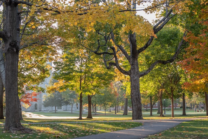 Campus scenic