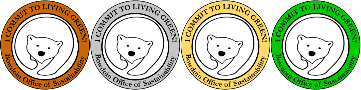 Above are the images of the Bronze, Silver, Gold and Green stickers given to students who complete the GLC at the level that suits each person best.