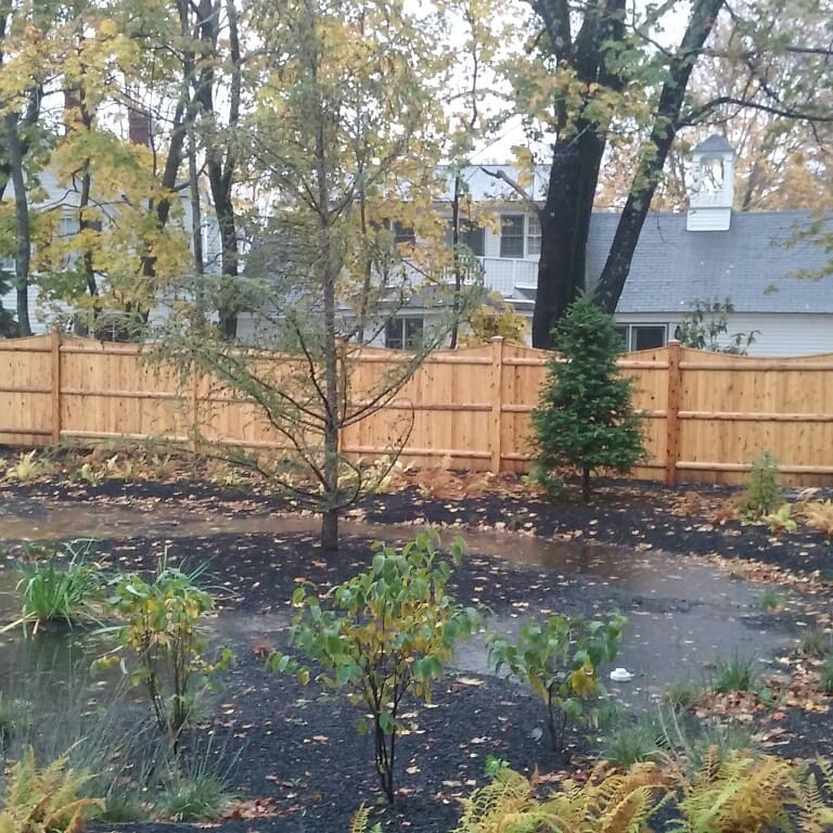 Bioswale in the backyard of the Roux Center, collecting rainwater for storage and recirculation within the building