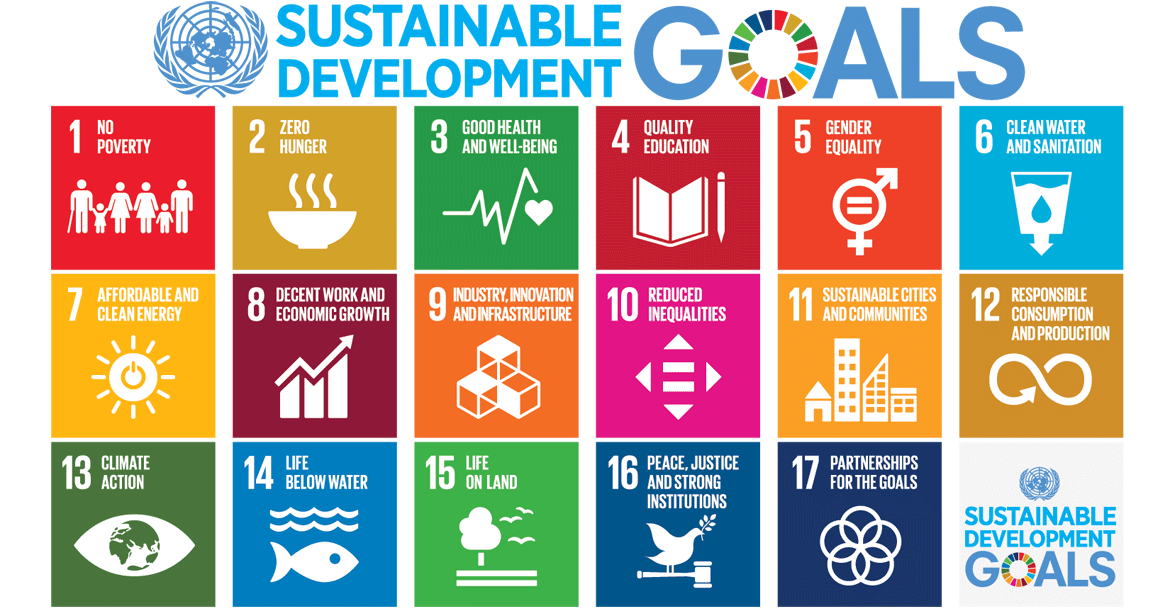 case study on sustainable development class 8