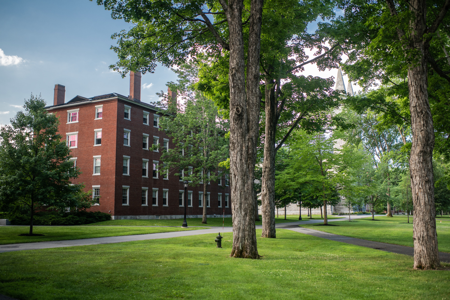 Green lawn on campus