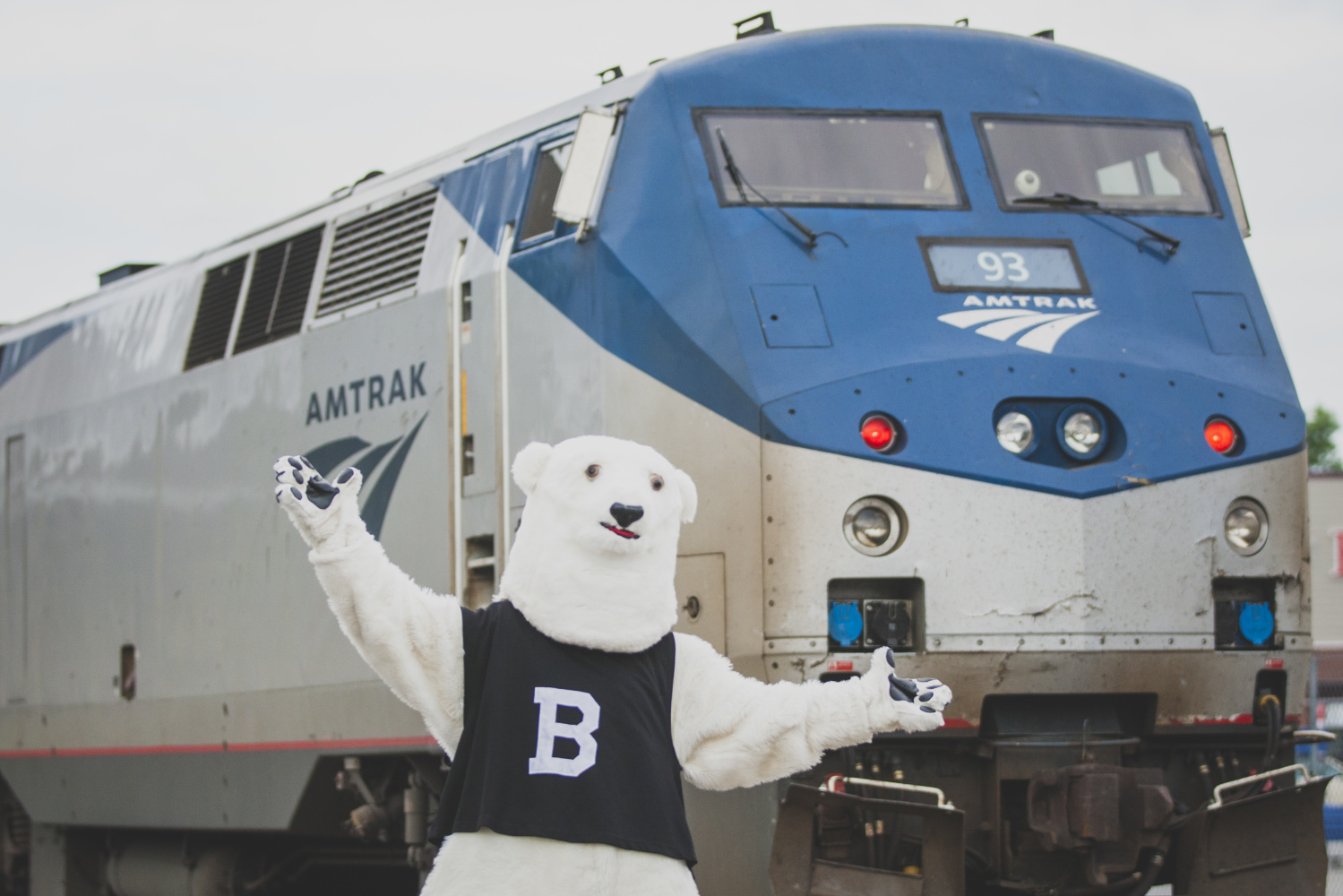 polar-bear-amtrak.jpg