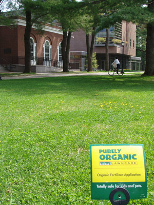 Green lawn on campus.