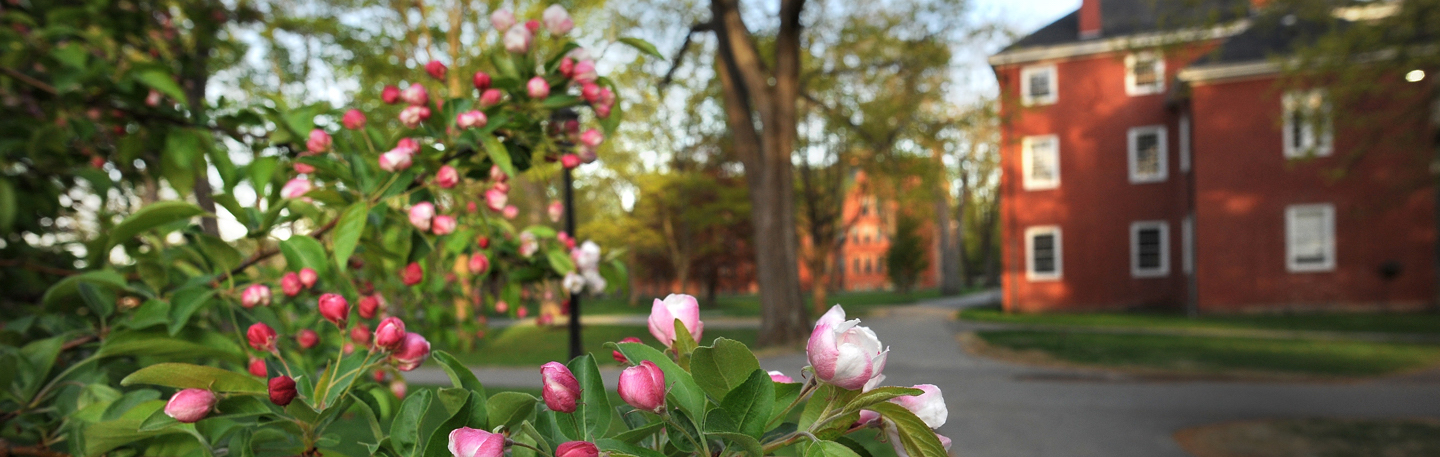 spring-at-bowdoin.jpg
