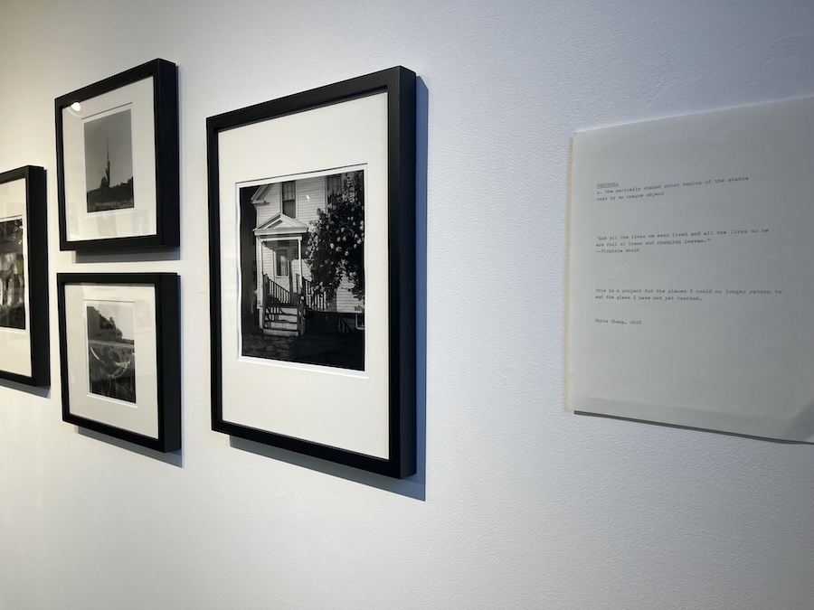Zhang's work at the show