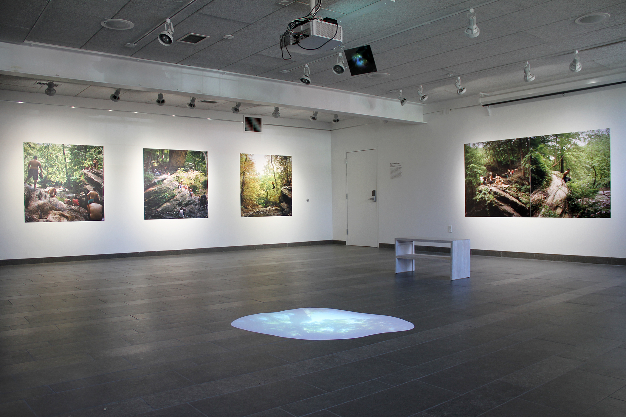 Sarah Kaufman, visiting artist