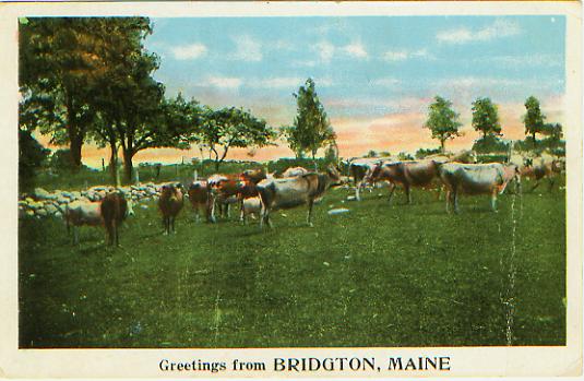 Bridgton